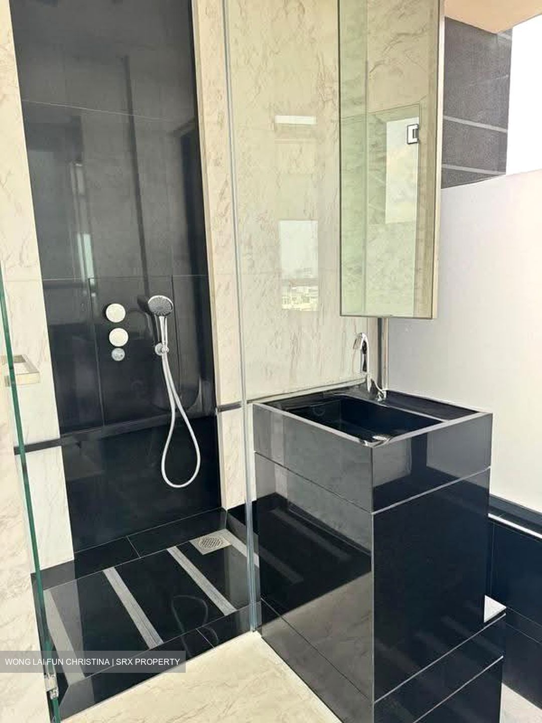 The Trizon (D10), Condominium #609179931